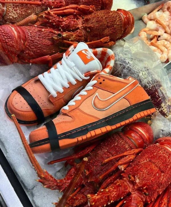 Nike SB Dunk Low Concepts Orange Lobster FIX rate